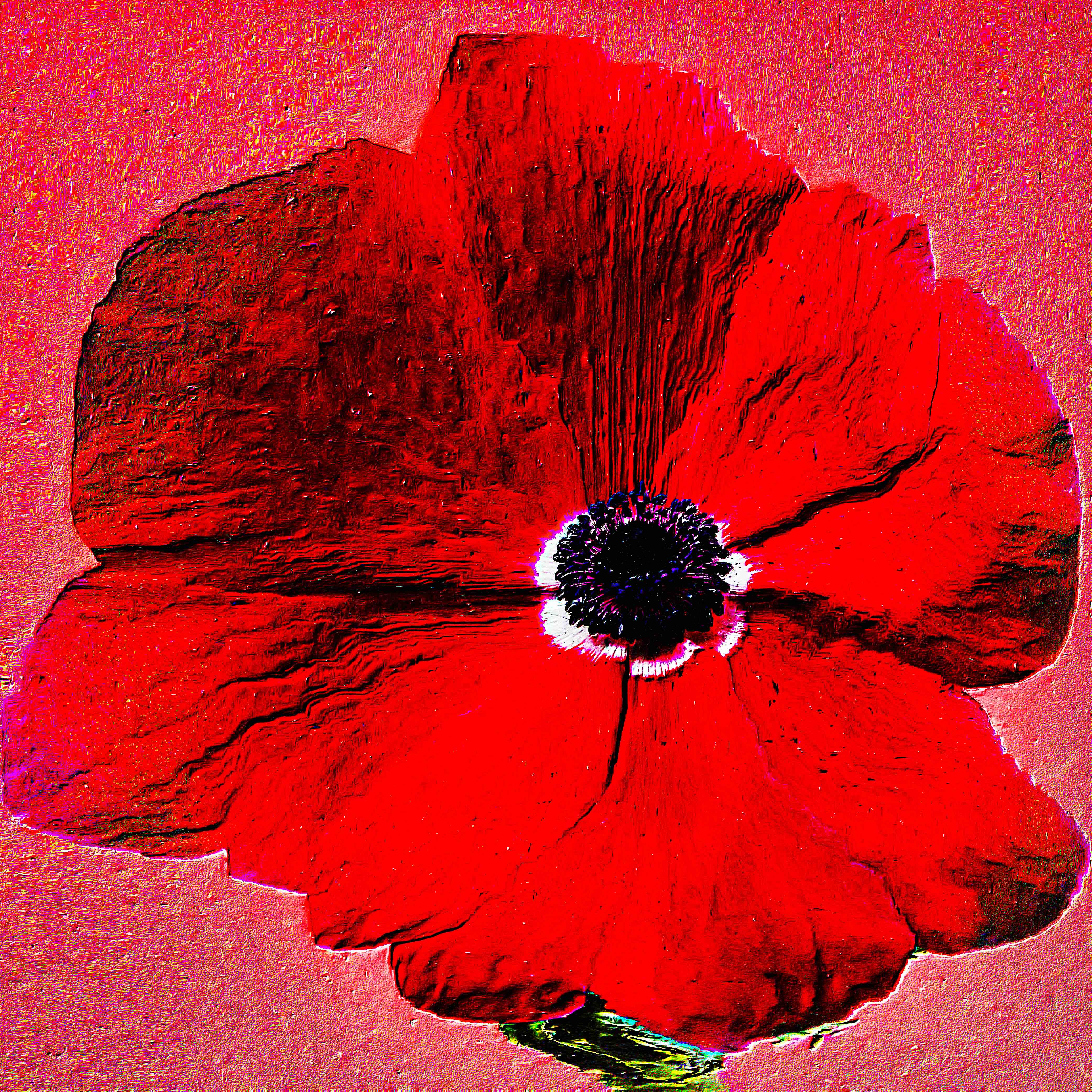 Flower 1 by CYDR