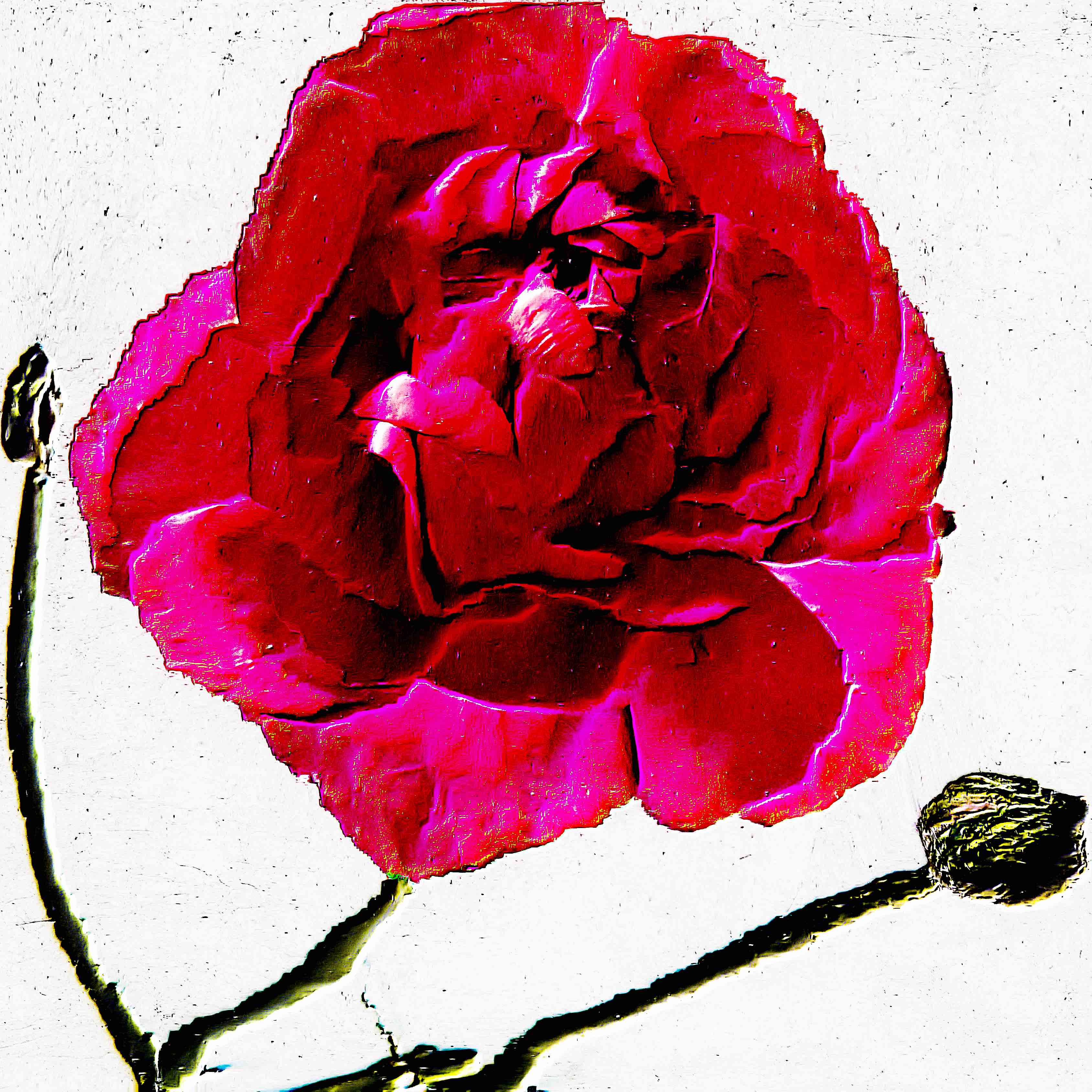 Flower 8 by CYDR