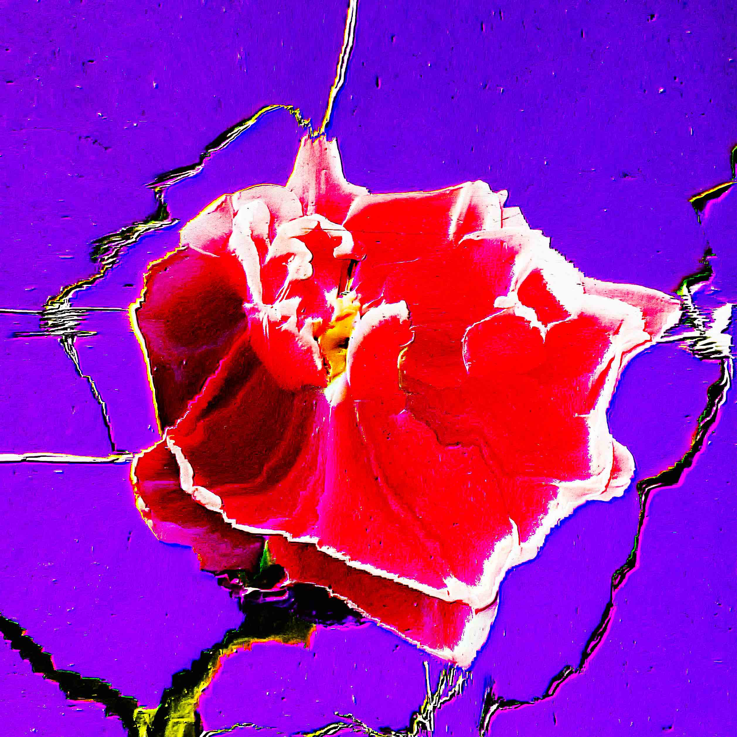 Flower 10 by CYDR