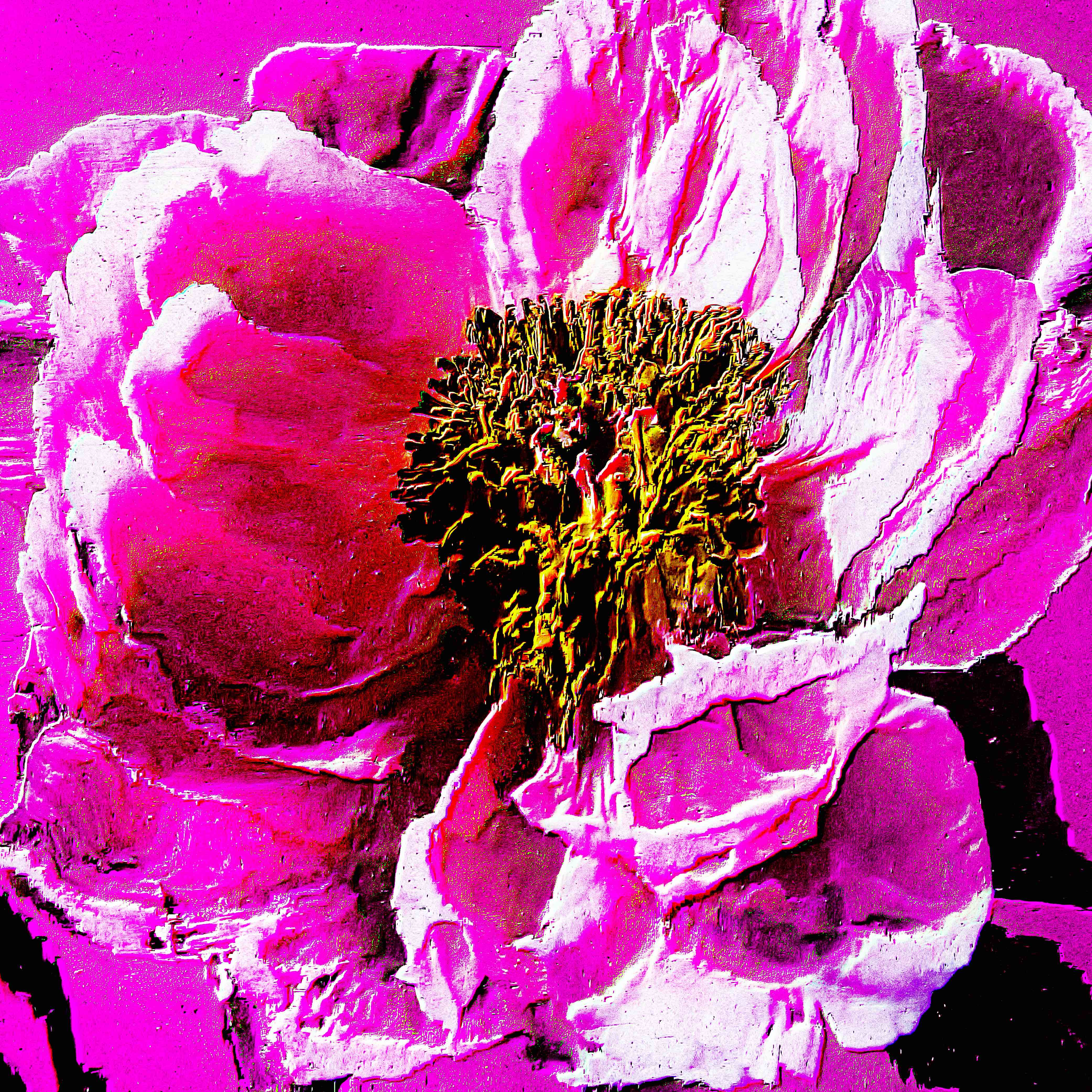 Flower 12 by CYDR
