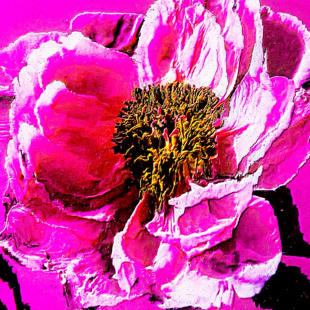CYDR Flower 12