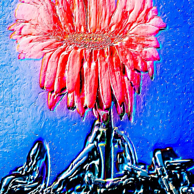 CYDR Flower 13