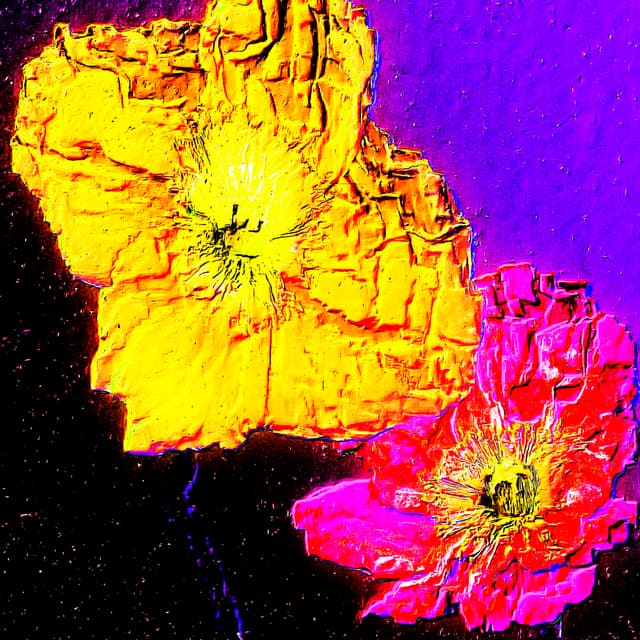 CYDR Flower 14