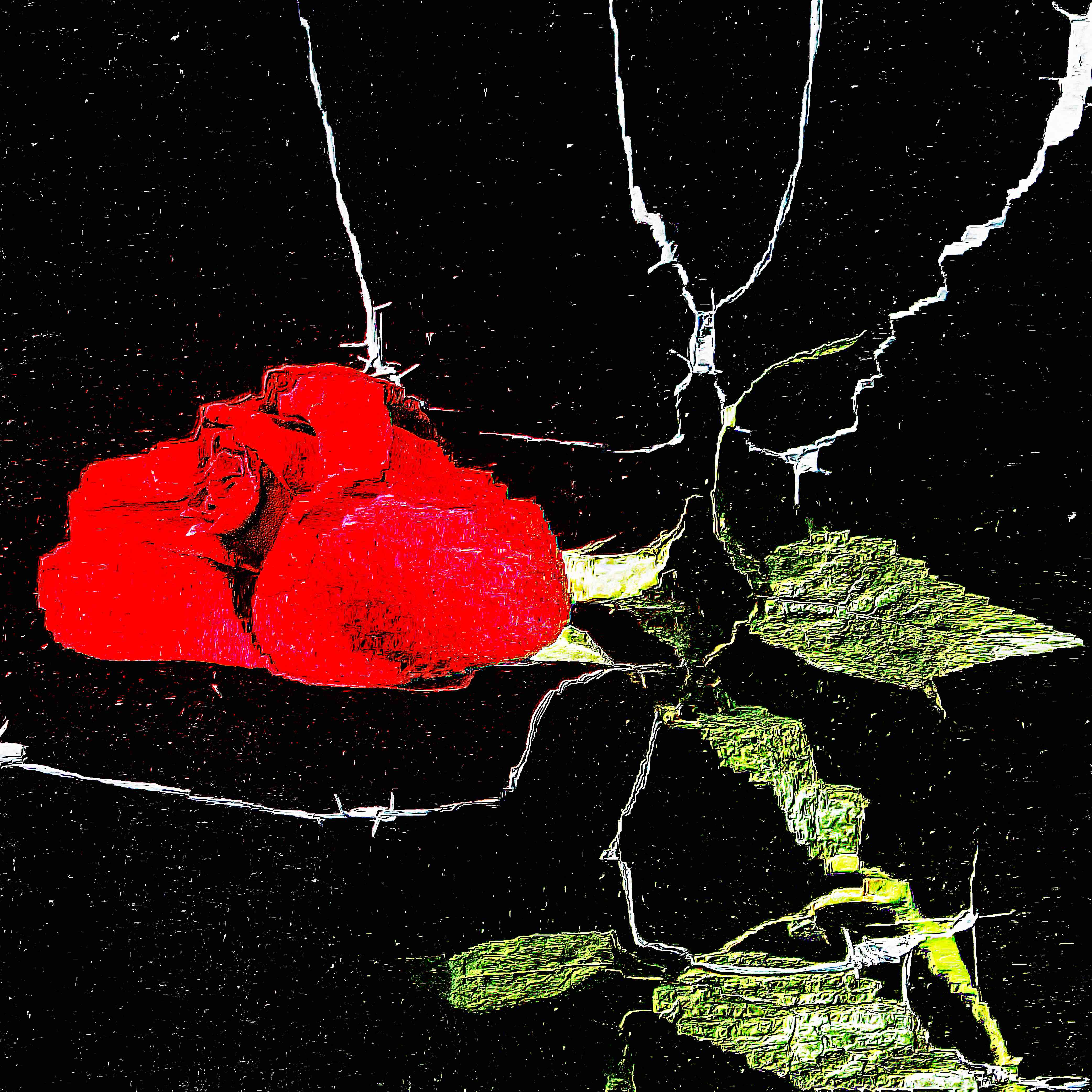 Flower 17 by CYDR