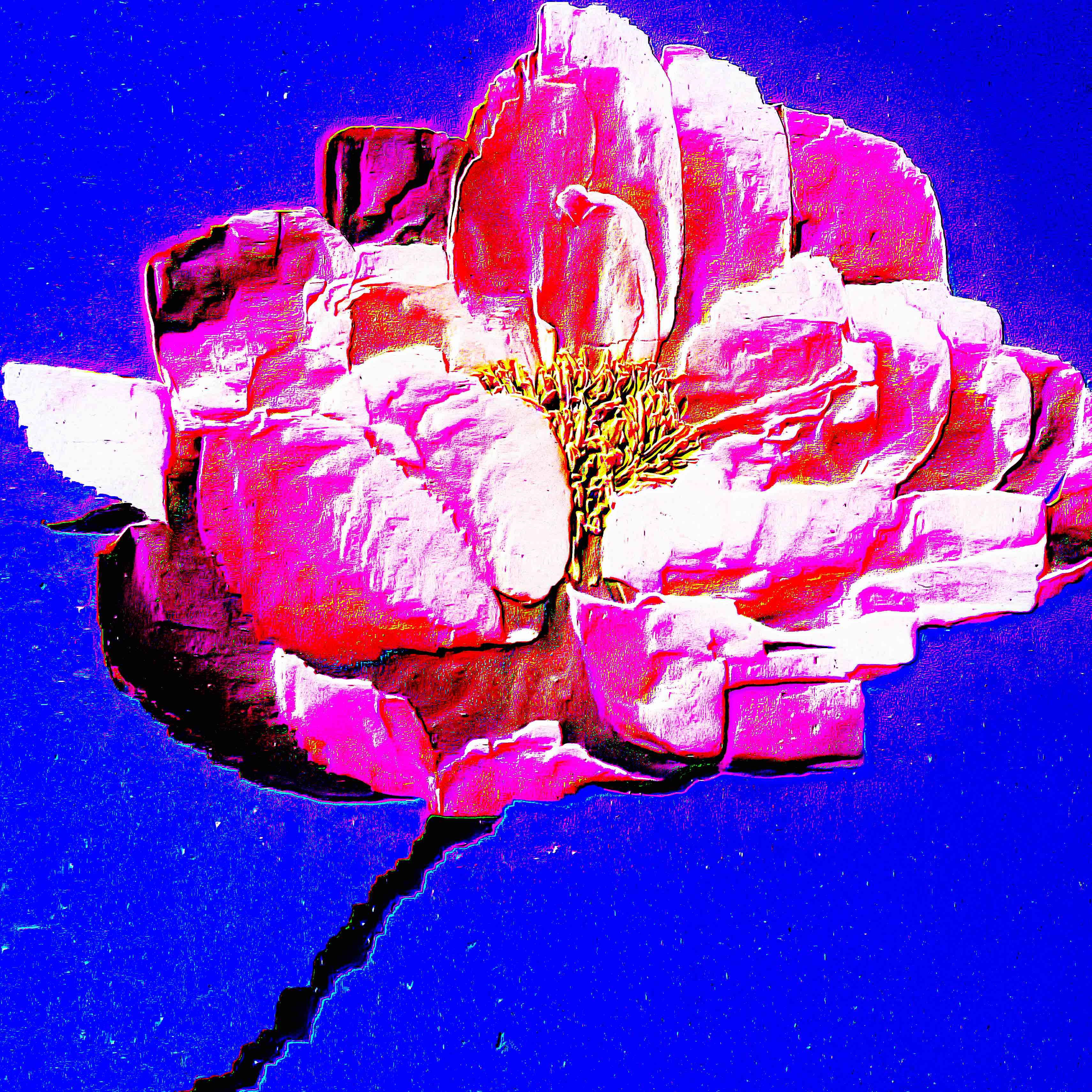 Flower 19 by CYDR