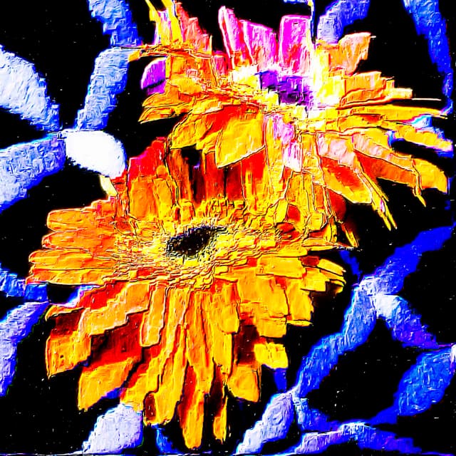 CYDR Flower 20