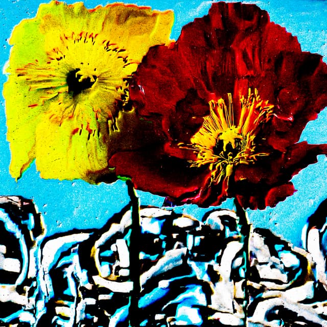 CYDR Flower 21