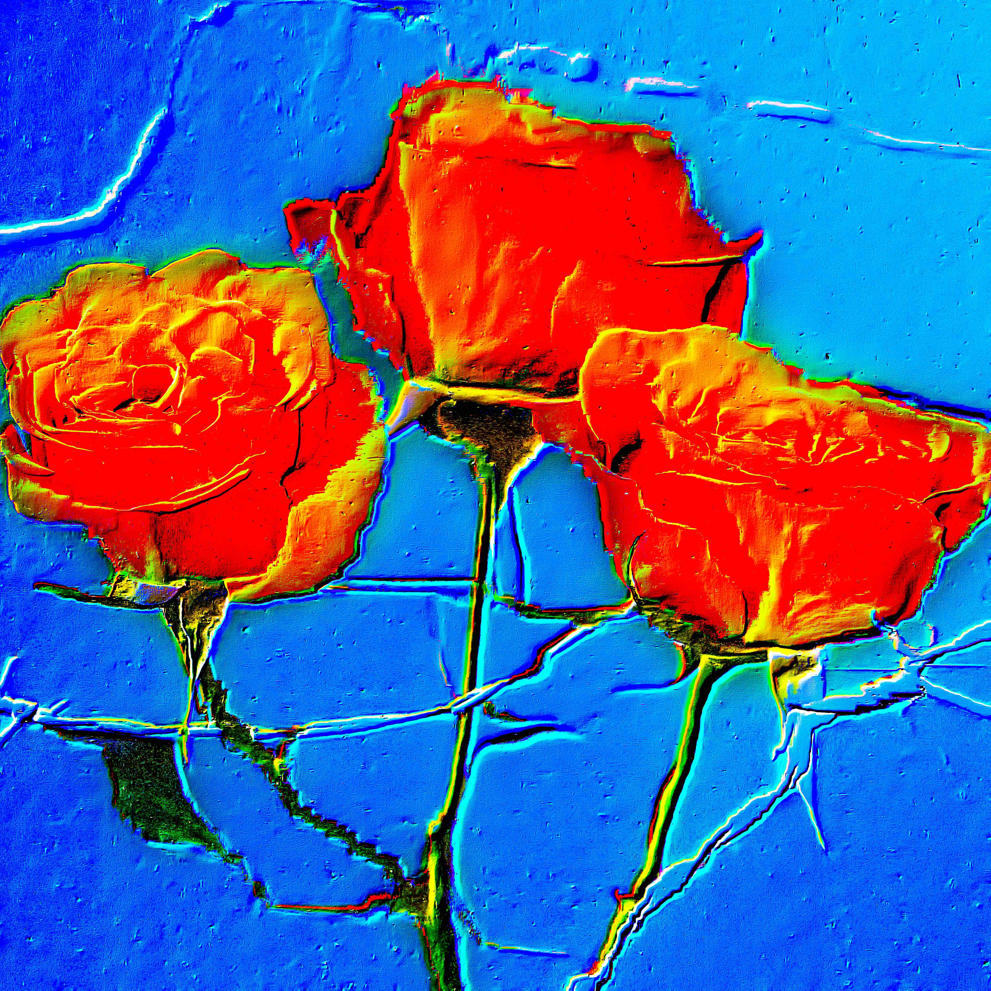 Flower 22 by CYDR