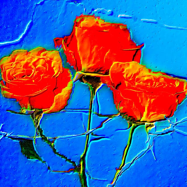 CYDR Flower 22