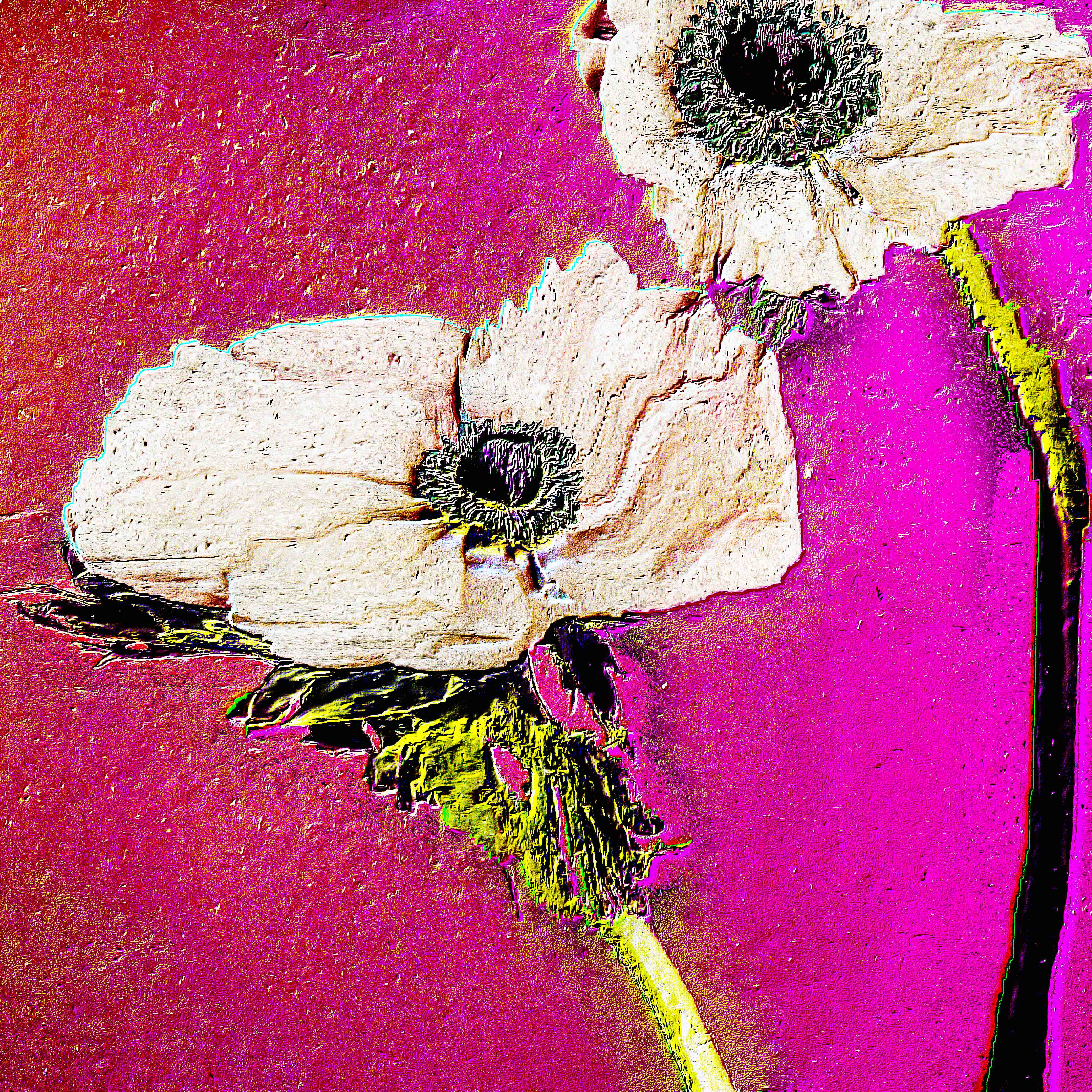 Flower 23 by CYDR