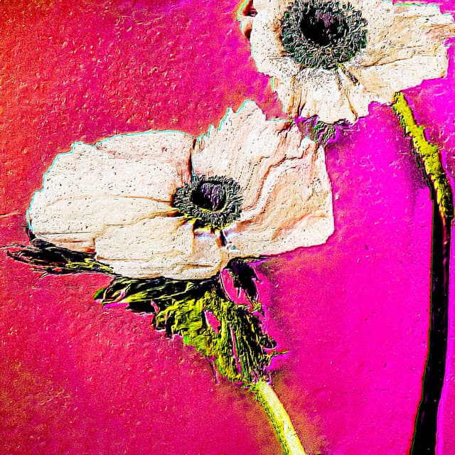 CYDR Flower 23