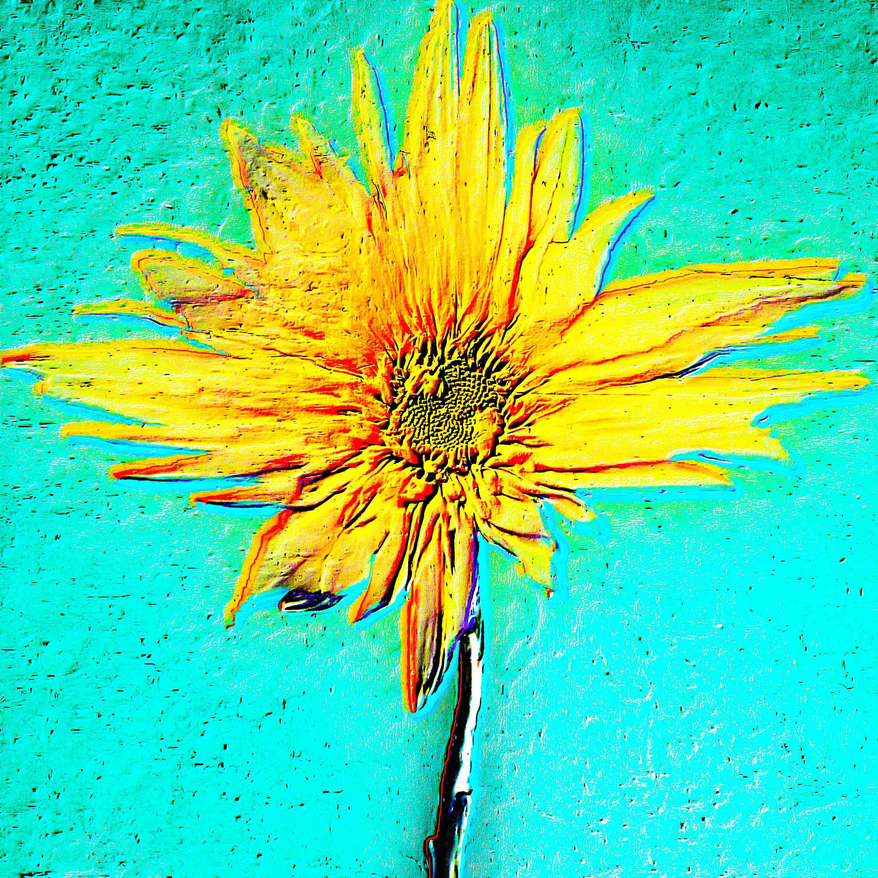 Flower 29 by CYDR