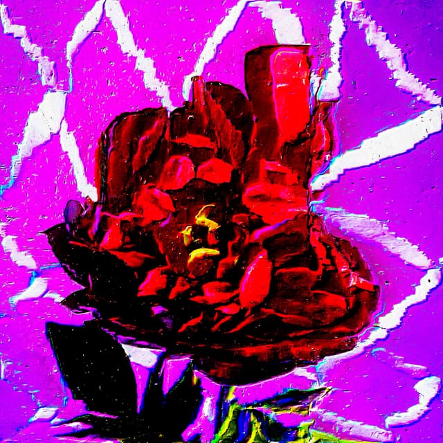 CYDR Flower 30