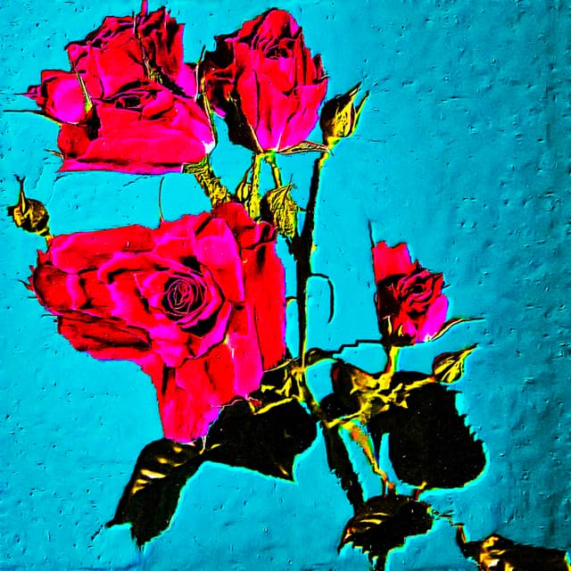 CYDR Flower 31