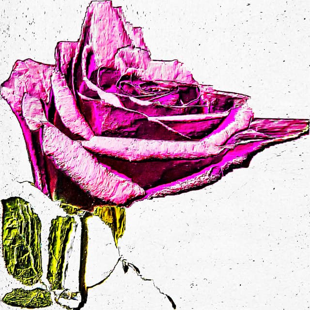CYDR Flower 33