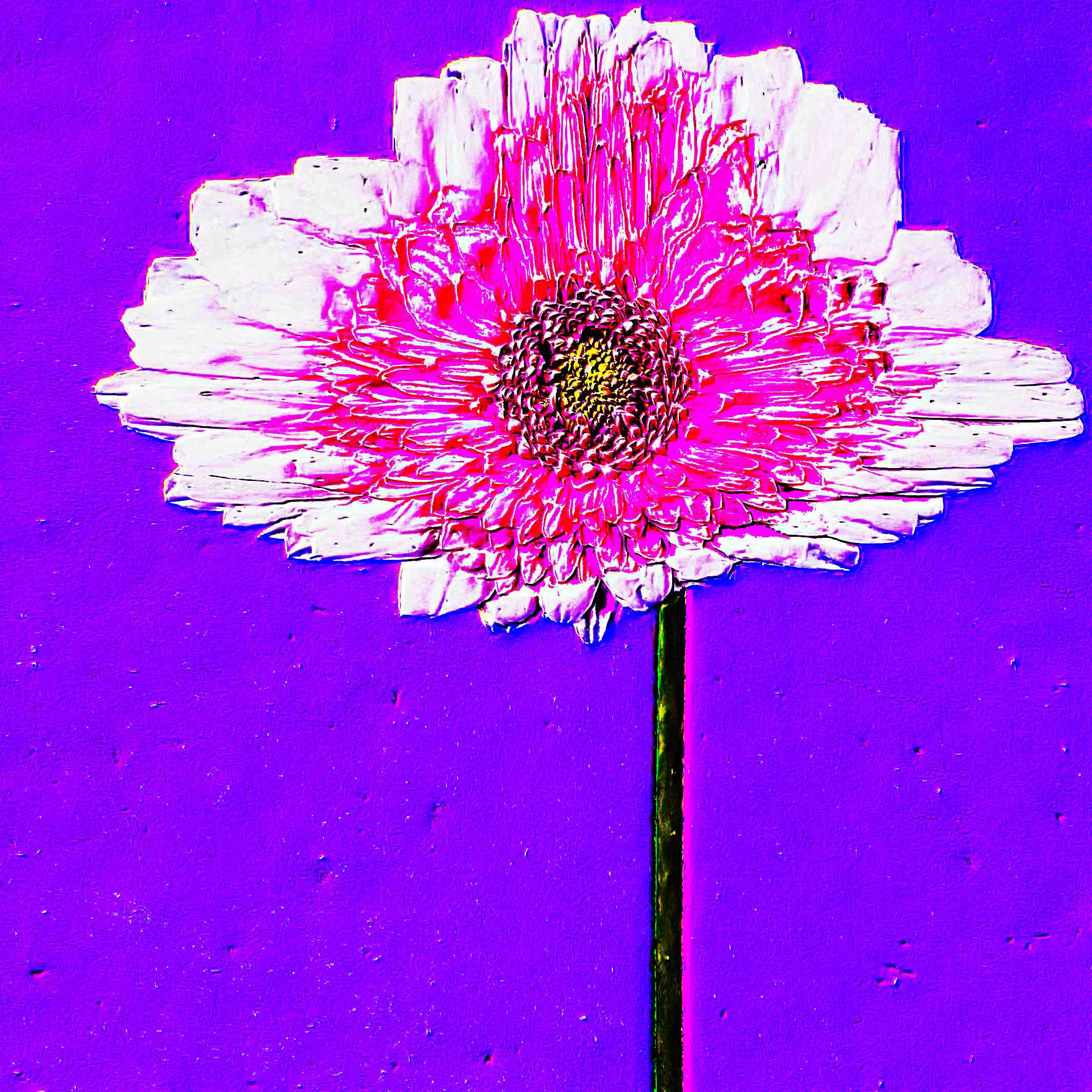 Flower 35 by CYDR