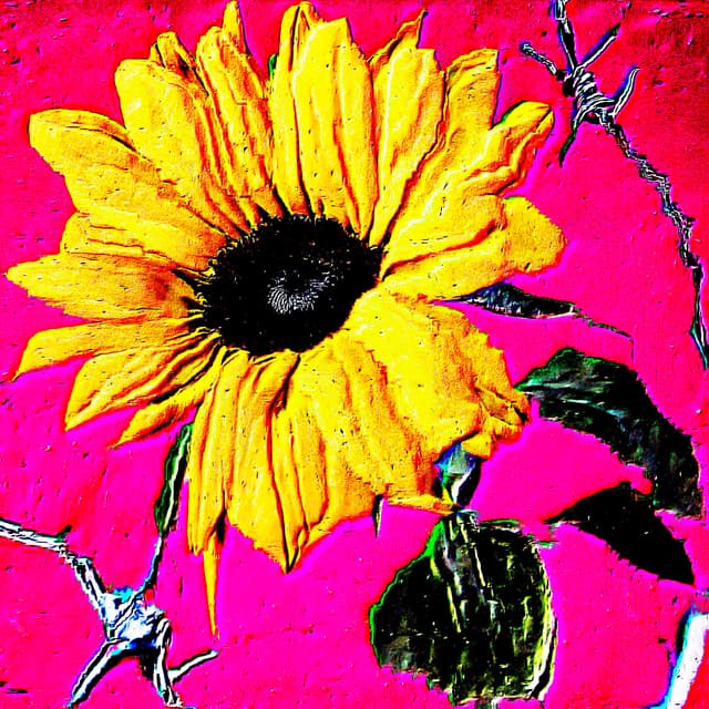 CYDR Flower 36