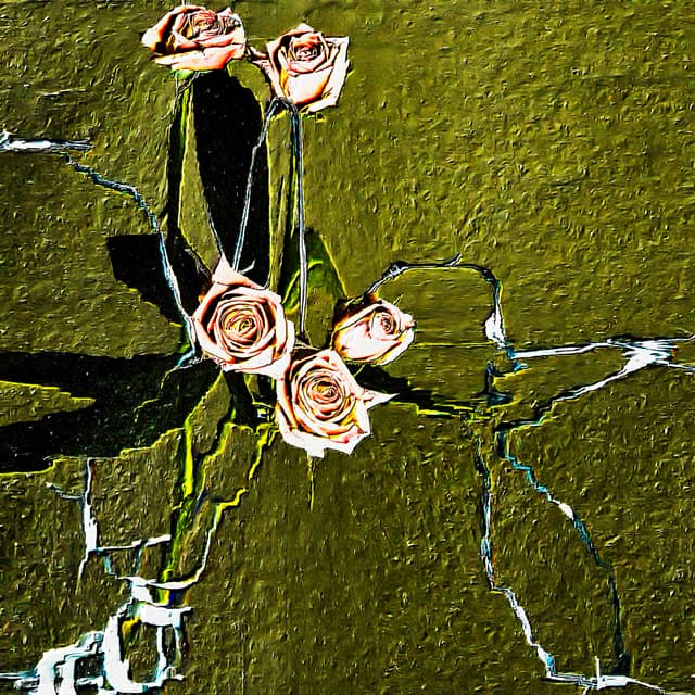 CYDR Flower 37