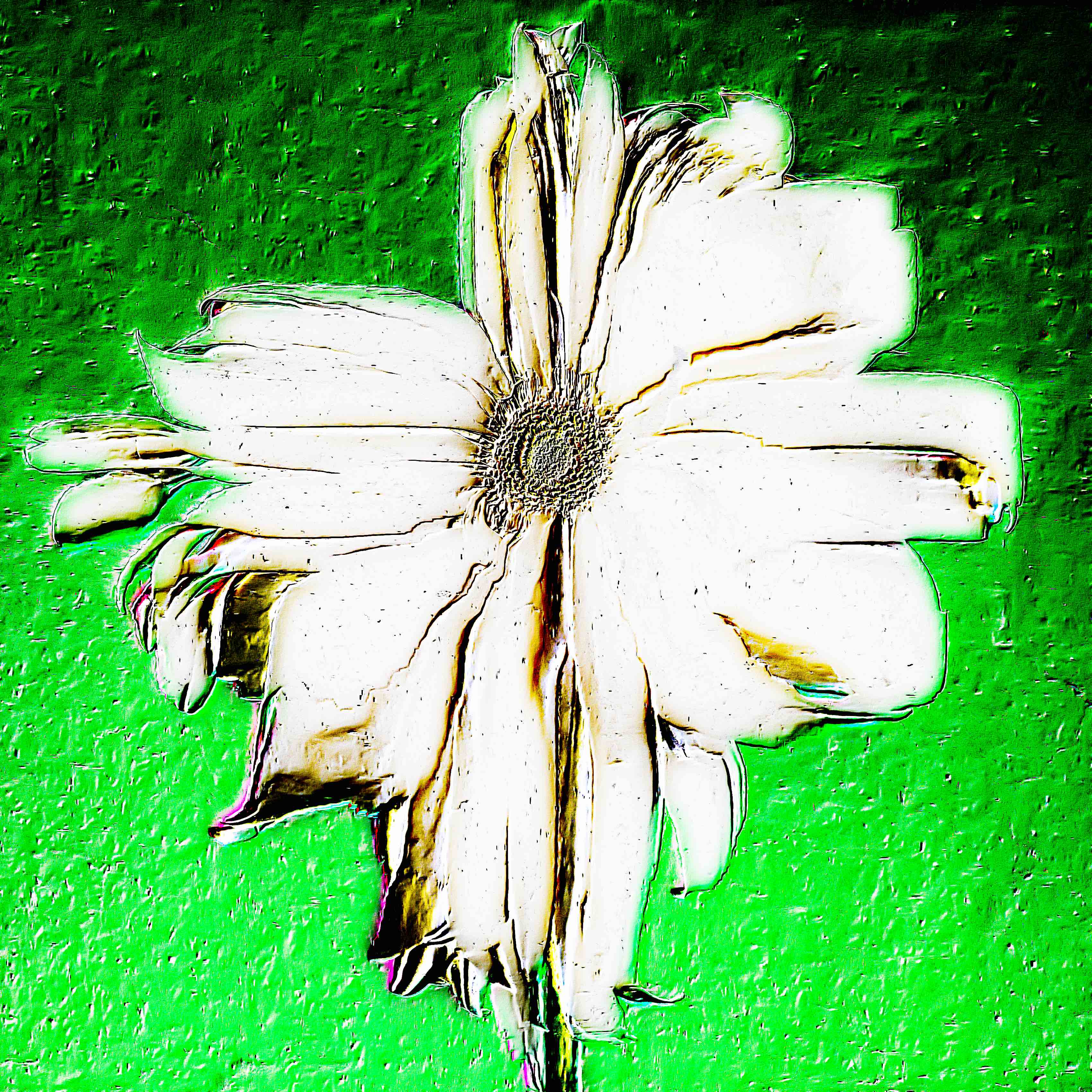 Flower 38 by CYDR