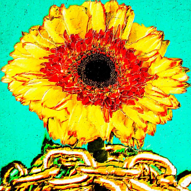 CYDR Flower 41