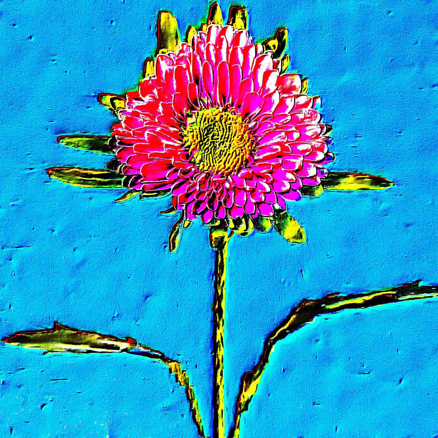 Flower 46 by CYDR