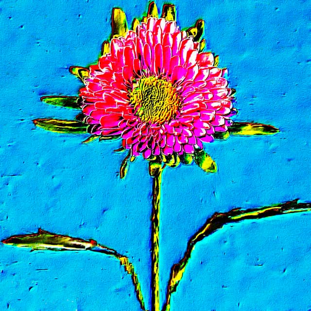 CYDR Flower 46