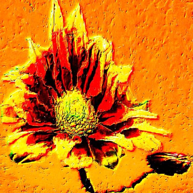 CYDR Flower 47