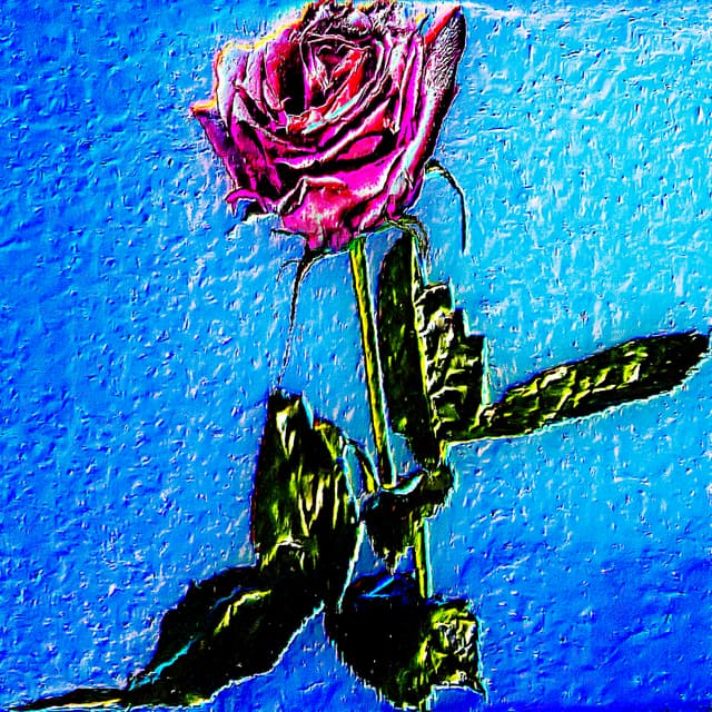 CYDR Flower 48
