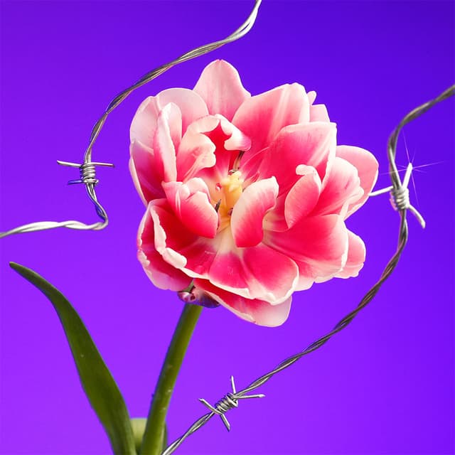 Flower 10