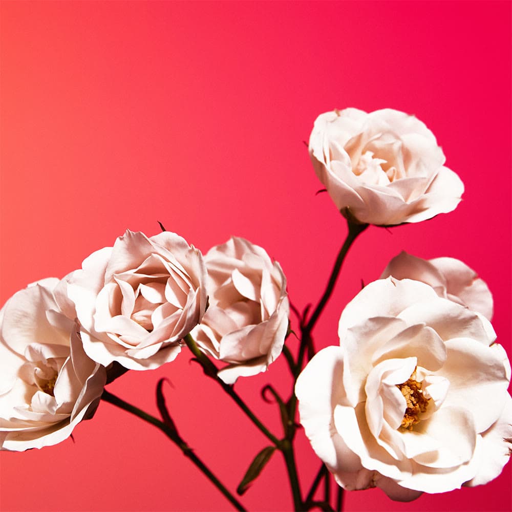 Flower 18