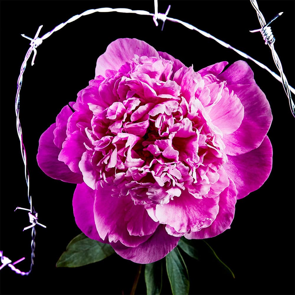 Flower 34