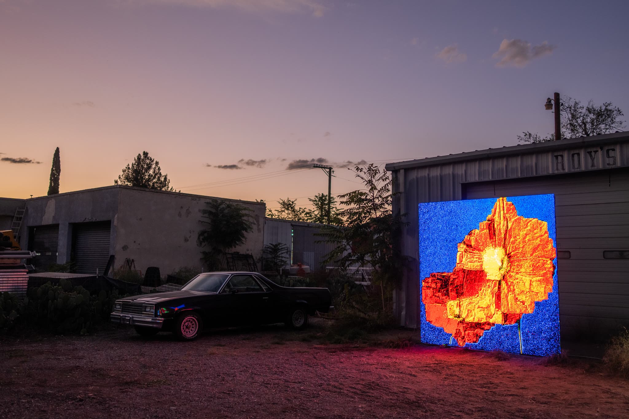 The Garden at Roys - Marfa, 2025