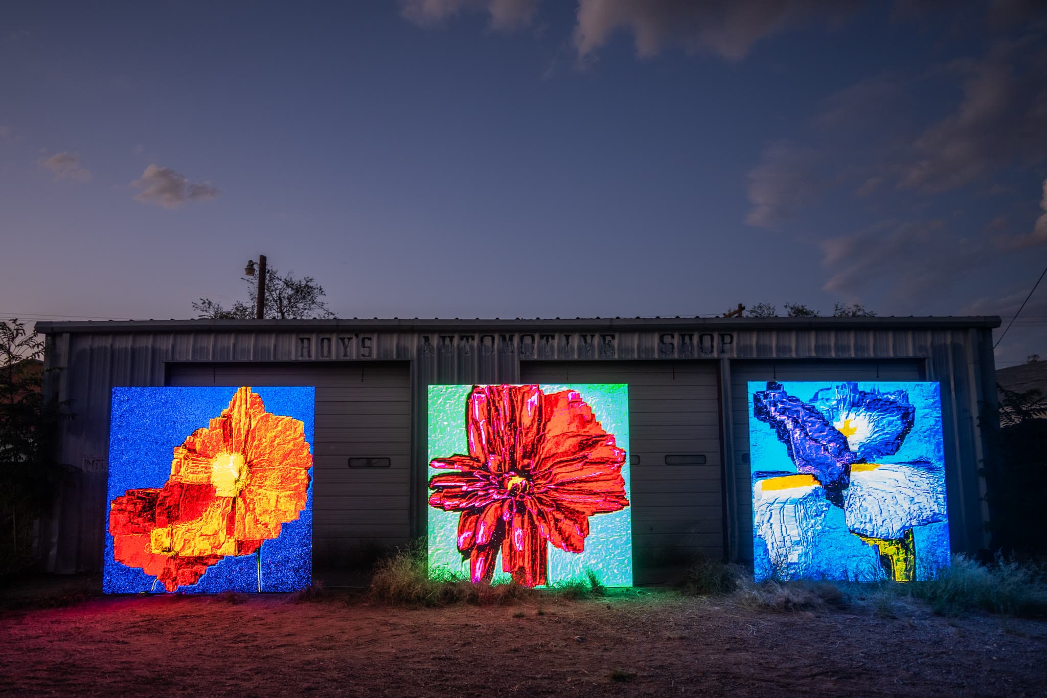 The Garden at Roys - Marfa, 2025