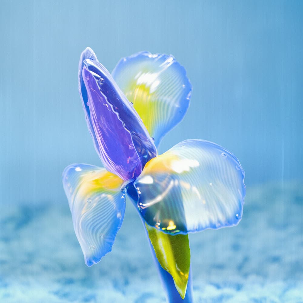 Flower 4 by Olivia Pedigo