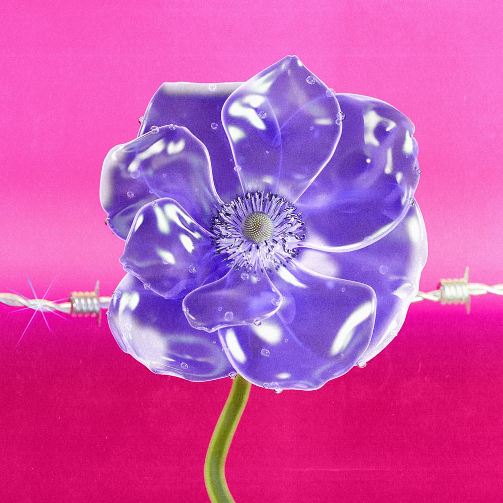 Flower 5 by Olivia Pedigo