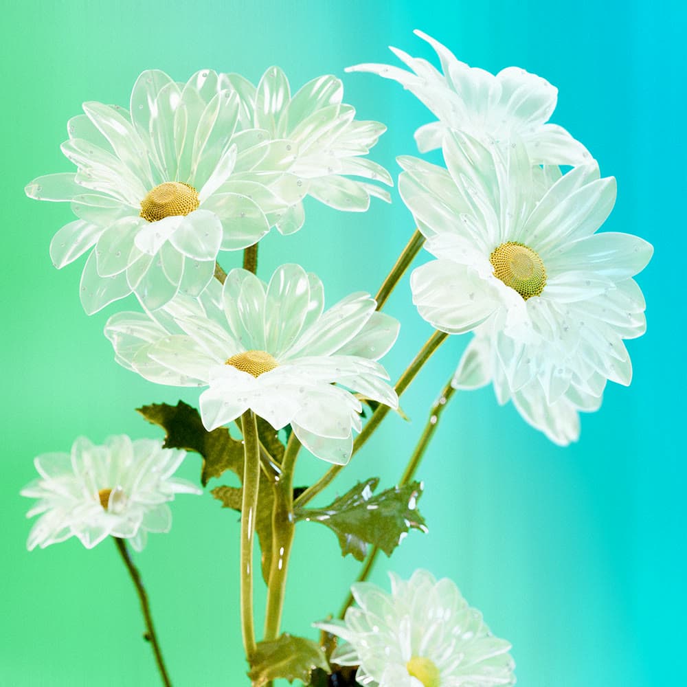 Flower 7 by Olivia Pedigo