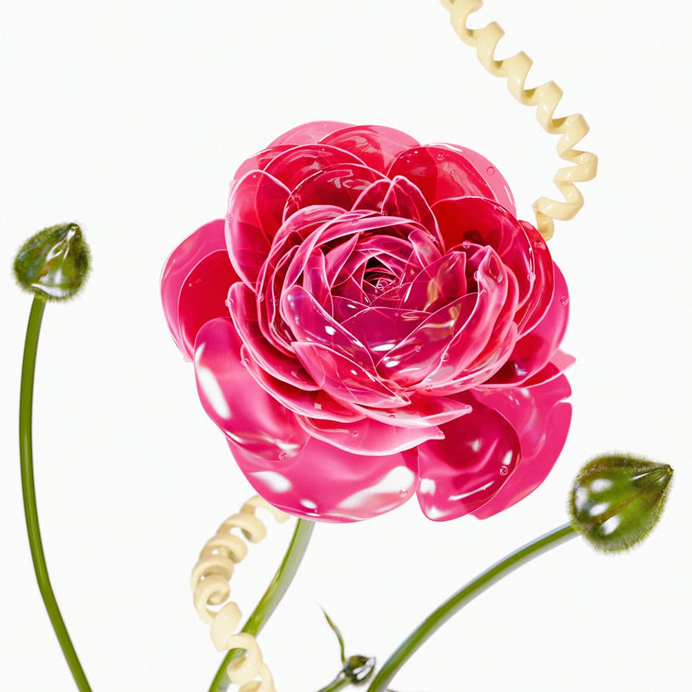 Flower 8 by Olivia Pedigo