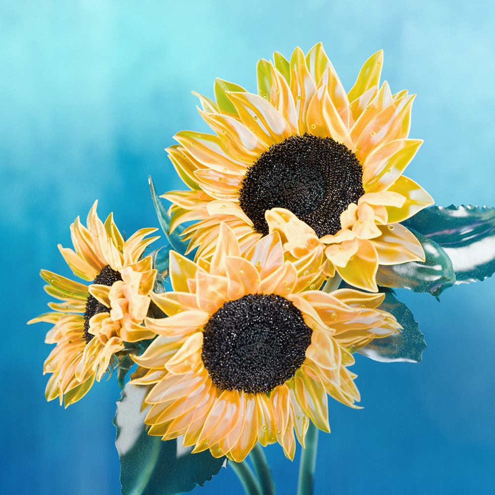 Flower 9 by Olivia Pedigo