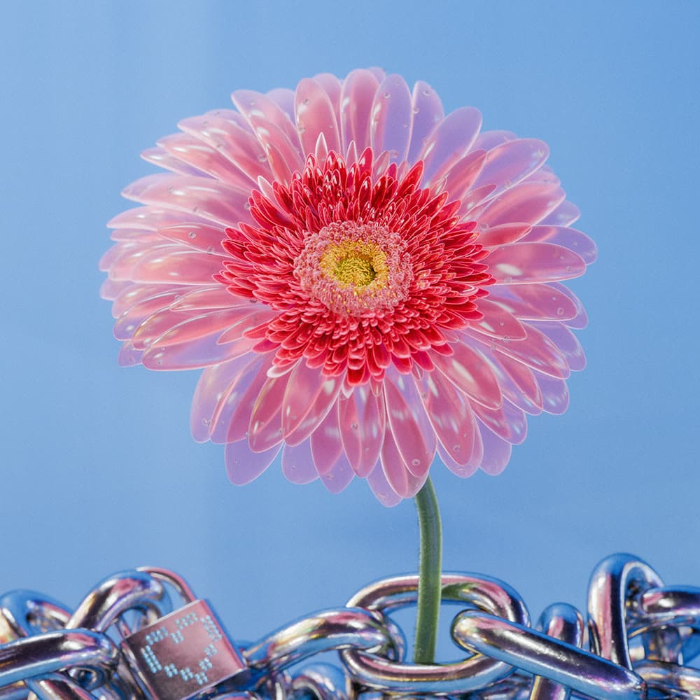 Flower 13 by Olivia Pedigo