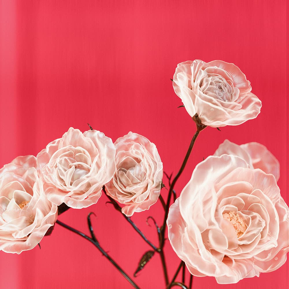 Flower 18 by Olivia Pedigo