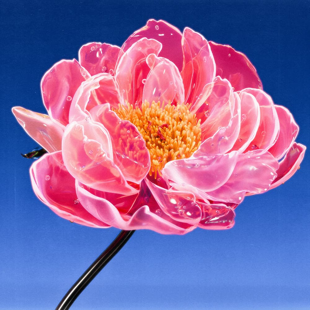 Flower 19 by Olivia Pedigo
