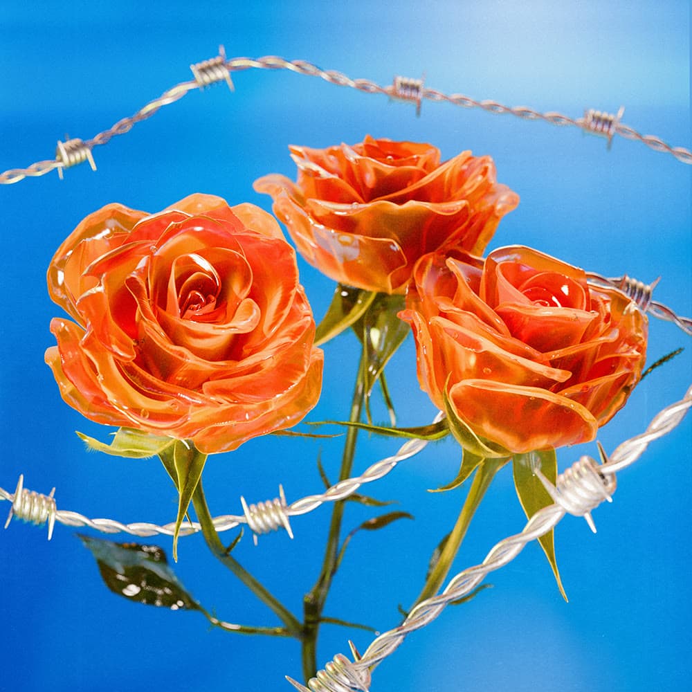 Flower 22 by Olivia Pedigo