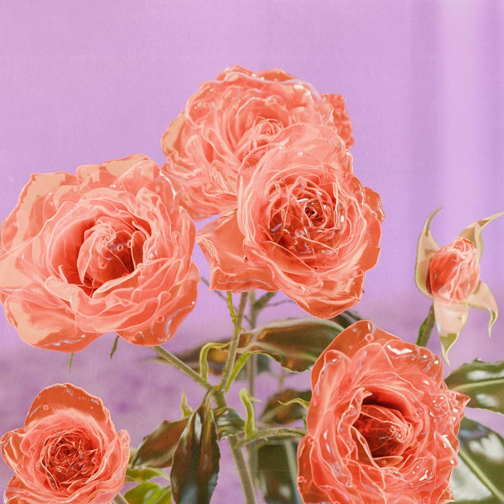 Flower 24 by Olivia Pedigo
