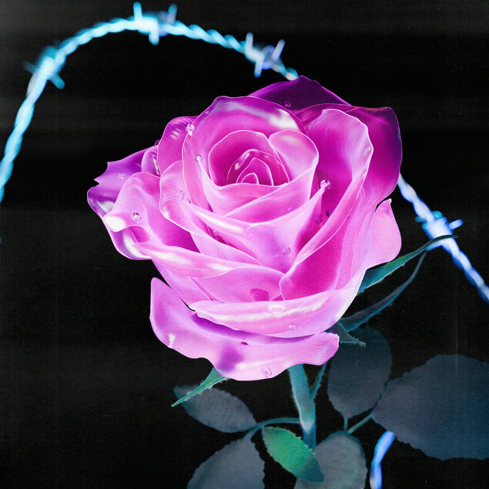 Flower 26 by Olivia Pedigo