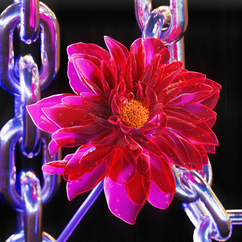Flower 27 by Olivia Pedigo