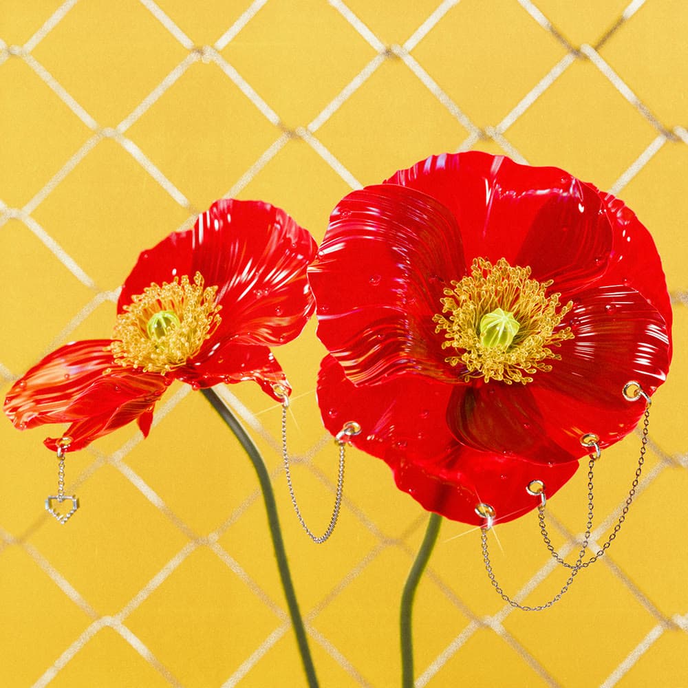 Flower 28 by Olivia Pedigo