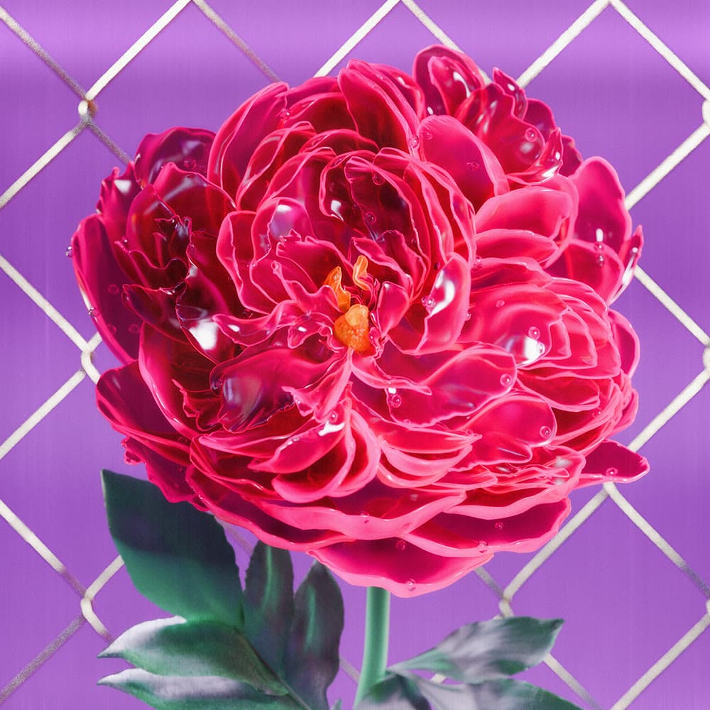 Flower 30 by Olivia Pedigo