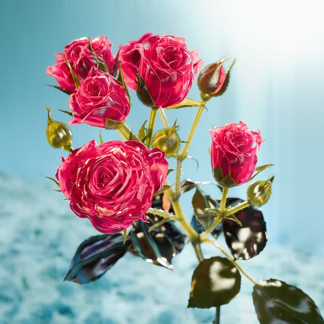 Liv Flower 31