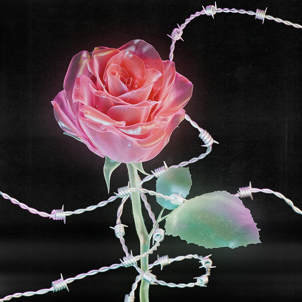 Flower 42 by Olivia Pedigo