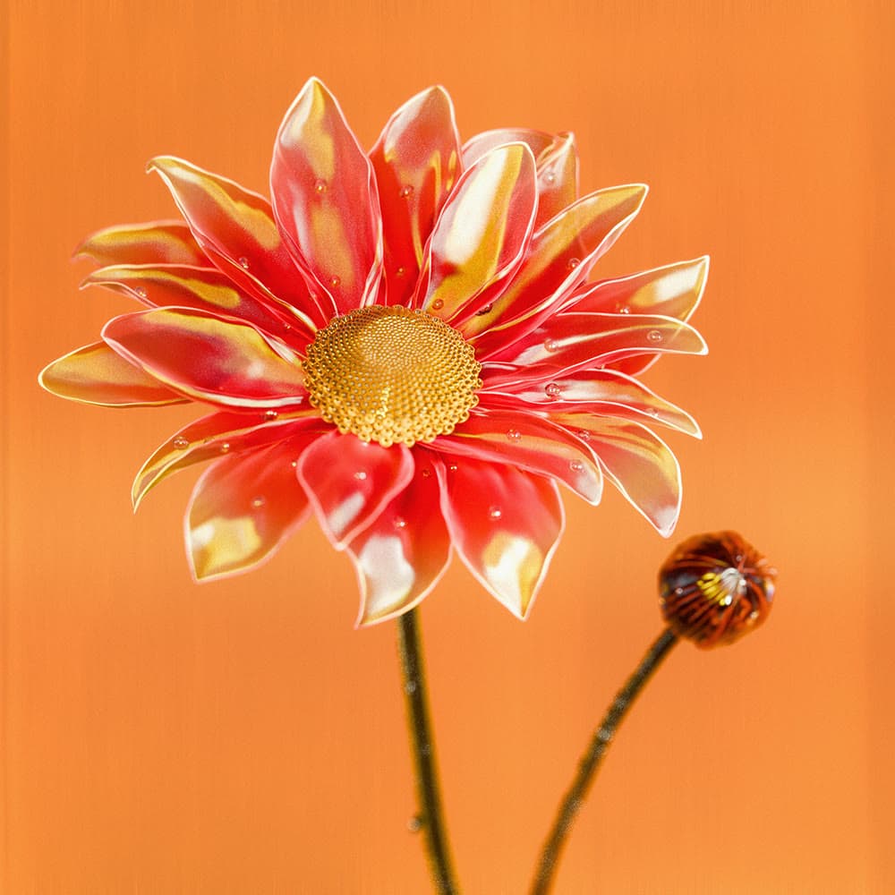 Flower 47 by Olivia Pedigo